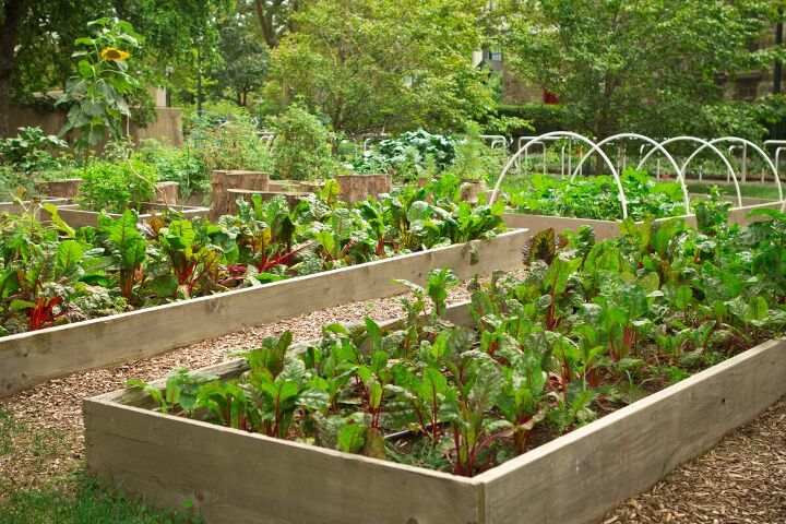 9 ways to get ready for food shortages, Community garden