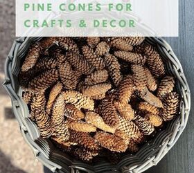 how to prepare pine cones for crafts or decor, Learn the do s and don ts of preparing pine cones for home decor or crafts