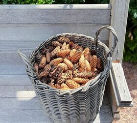 how to prepare pine cones for crafts or decor, Pretty pine cones in a basket on our pew
