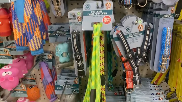 17 do not miss items to buy at dollar tree this fall, Dollar Tree pet leashes