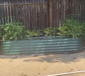how to grow a backyard garden on a budget, Orchard garden beds