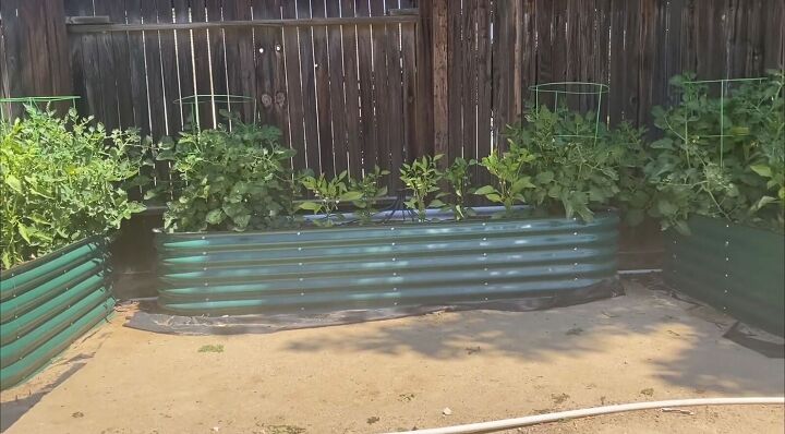 how to grow a backyard garden on a budget, Orchard garden beds