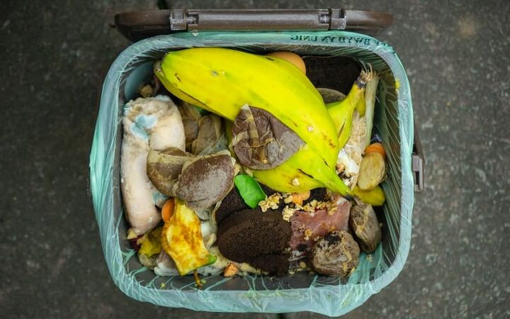 plastic free kitchen tips, a compost bin