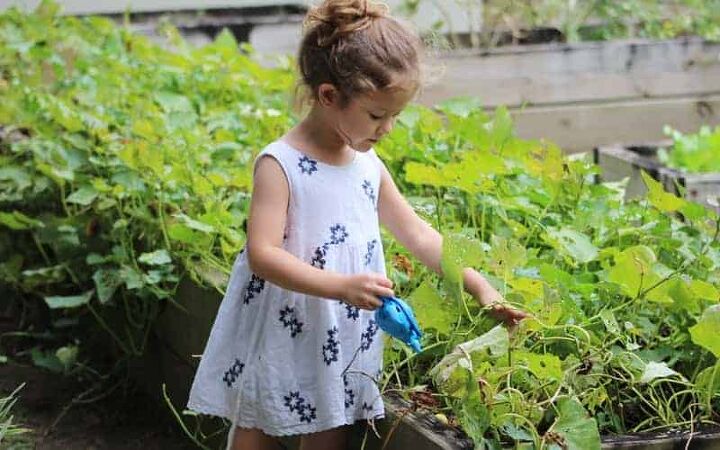 teaching kids recycling, a little girl in the garden
