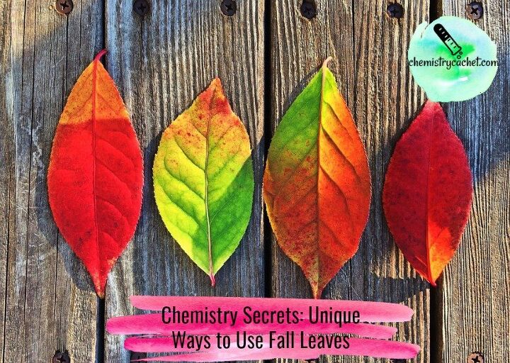 chemistry secrets unique ways to use fall leaves, Chemistry Secrets Unique Ways to Use Fall Leaves