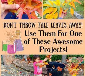 chemistry secrets unique ways to use fall leaves, Unique Ways To Use Fall Leaves Around The Home Instead of Throwing Them Away