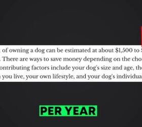 10 normal things i don t do as a financial minimalist, Cost of owning a pet