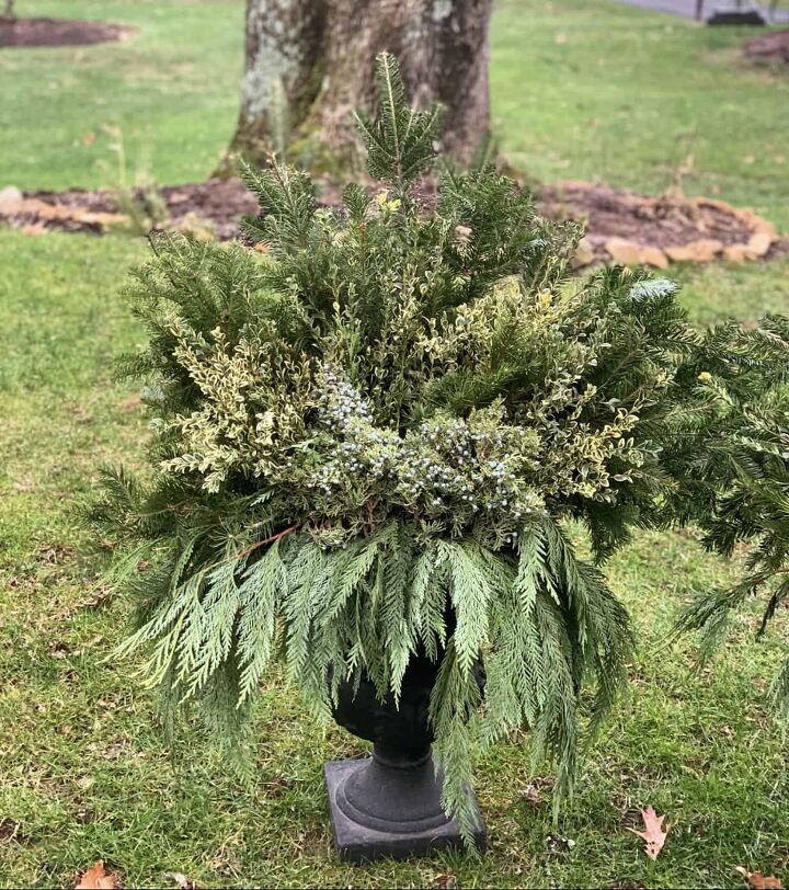 winter gardening with outdoor planters for the front porch, Tucking in juniper to add more color and texture to winter container garden with fresh greens in black urn Decorating the Front Porch for Christmas