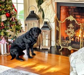 winter gardening with outdoor planters for the front porch, black labrador retriever dog in front of roaring fire on Christmas First Christmas in Our Home Tour