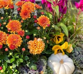 19 easy to find plants for fall garden containers, close up of garden mums and celosia in copper window box with pumpkins 19 Plant for Fall Garden Containers