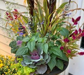 19 easy to find plants for fall garden containers, Container Garden for Fall with ornamental cabbage celosia millet and calamint in black urn