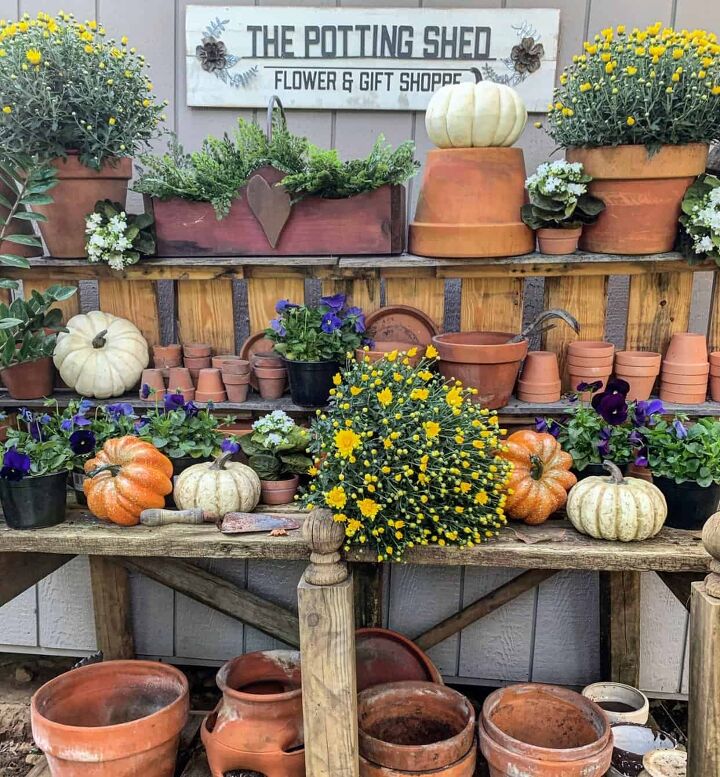 19 easy to find plants for fall garden containers, potting bench decorated for fall with garden mums and pumpkins Why You Need a Potting Bench