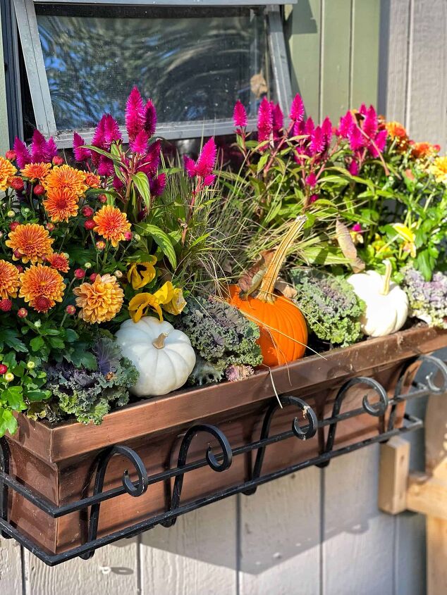 19 easy to find plants for fall garden containers, close up of copper window box filled with plants for fall gardenlike garden mums celosia pansies and pumpkins