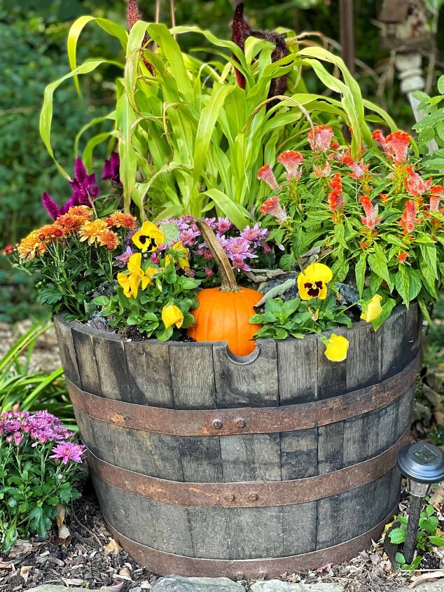 19 easy to find plants for fall garden containers, Fall garden in a whiskey barrel