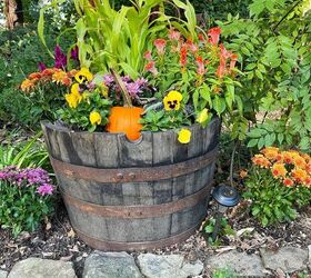 19 easy to find plants for fall garden containers, Whiskey barrel planter with millet garden mums celosia pansies pumpkins 19 Easy to Find Plants for Fall Garden Containers