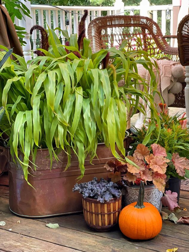 19 easy to find plants for fall garden containers, close up of copper tub found thrifting with fall garden plants How to Plant a Fall Garden in a Flea Market Find