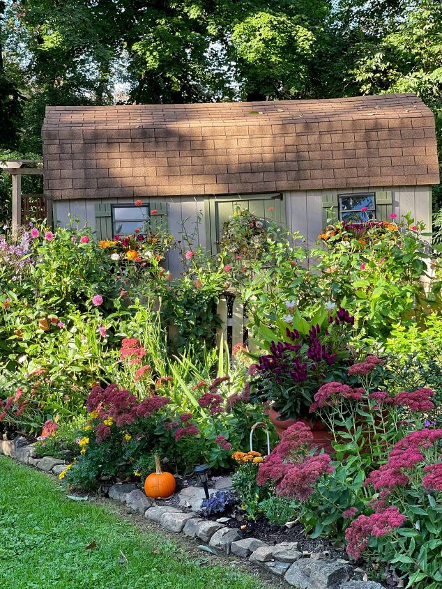 19 easy to find plants for fall garden containers, Close up of backyard garden shed with cut flower garden filled with fall garden flowers like sedum autumn joy dahlias pansies asters and chrysanthemums Plants for Fall Garden