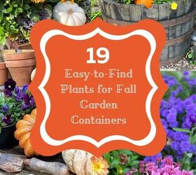19 easy to find plants for fall garden containers, 19 Easy to Find Plants for Fall Garden Containers