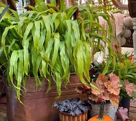 container garden basics for the beginner, How to Plant a Fall Garden in a Flea Market Find