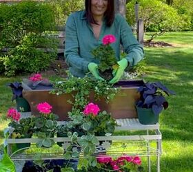 container garden basics for the beginner, planting a window box