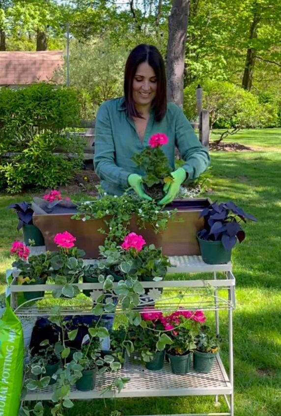 container garden basics for the beginner, planting a window box