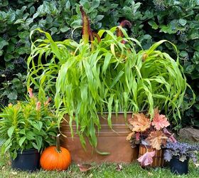 container garden basics for the beginner, How to Plant a Fall Garden in a Thrift Store Find