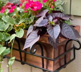 container garden basics for the beginner, How to Plant a Window Box for Spring