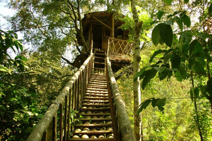why they decided to build a treehouse from scratch, Steps up to a treehouse