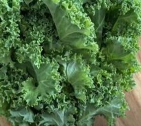 the 6 best cheap healthy foods you should be eating every day, Green leafy vegetables