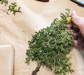 how to use greenery for christmas diy projects, Make cedar shaped tree from sprigs of cedar cardboard and a gathered twig