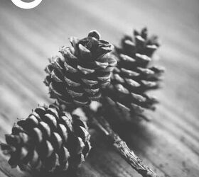 Fun Things to Do With Pine Cones