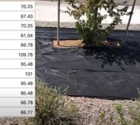 How to Xeriscape Your Backyard and Save Money Simplify