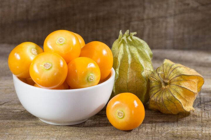 the surprising benefits of growing your own food, Physalis berries