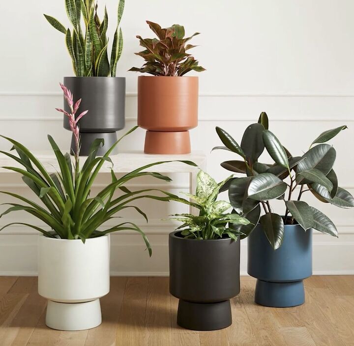 3 colorful diy dollar tree planters to brighten your home, West Elm Bishop planters