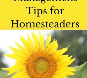 10 best time management tips for homesteaders, time management for homesteaders