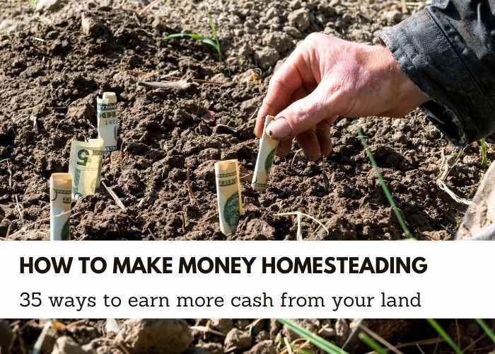 35 ways to make money homesteading