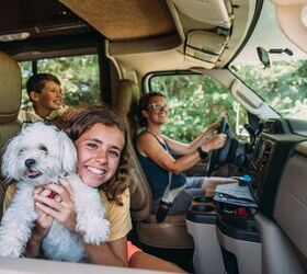 Why they use the Waggle RV pet monitor to keep their pets safe