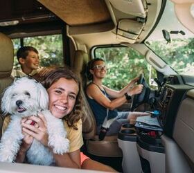 why we use the waggle rv pet monitor to keep our pets safe, Traveling in an RV with a dog