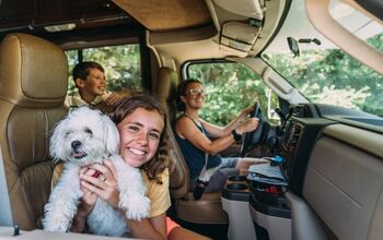 Why We Use the Waggle RV Pet Monitor to Keep Our Pets Safe