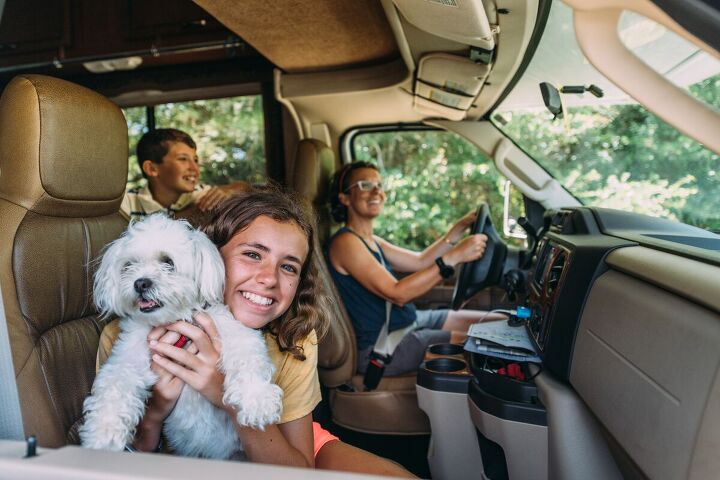why we use the waggle rv pet monitor to keep our pets safe, Traveling in an RV with a dog