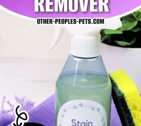 Homemade Pet Stain Carpet Cleaner | Simplify