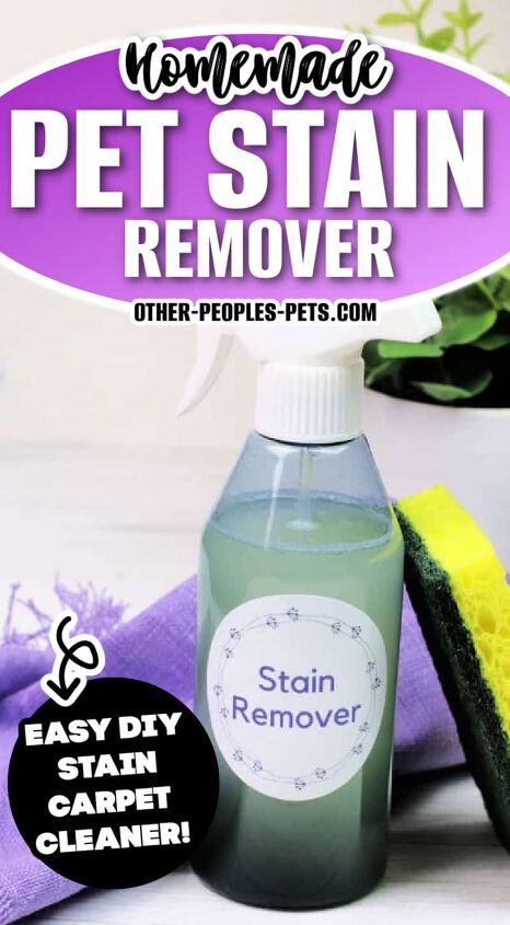 homemade pet stain carpet cleaner, Looking for a homemade pet stain carpet cleaner Make a batch of this DIY carpet stain remover to remove urine stains from carpets