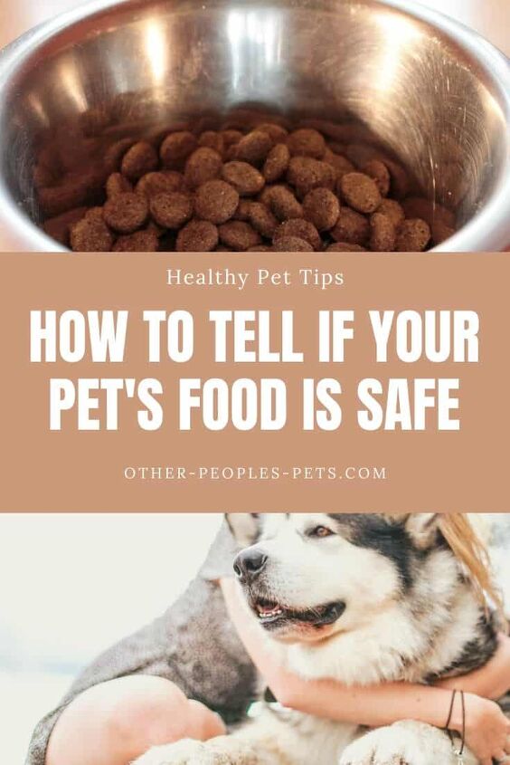 is your pet s food safe here s how to tell, Is Your Pet s Food Safe Here s How to Tell
