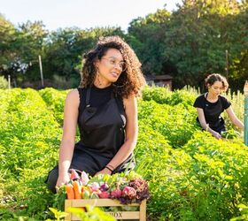 This tiny home community in Texas is all about farm living