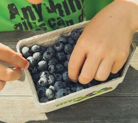 These tips for picky eaters are a great way to help parents reduce food waste