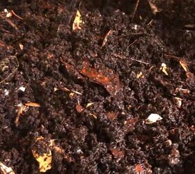 how to urban homestead herbs worm farms composting more, Worm farm