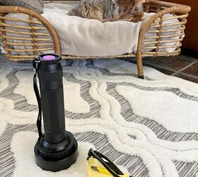 over 30 cleaning tools that make life easier, Blacklight flashlight for pet urine sitting on rug with Yorkie