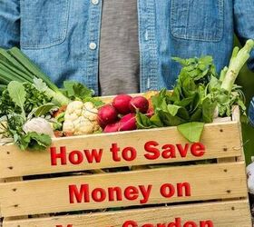 How to Save Money on Your Garden