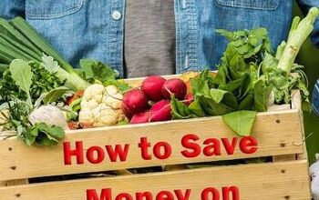 How to Save Money on Your Garden