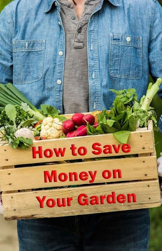 how to save money on your garden, Does this warmer weather have you making plans for your garden Here are some tips on how to save money on your garden this summer
